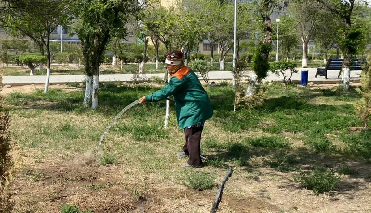 Фото ЦОК Мангистауской области