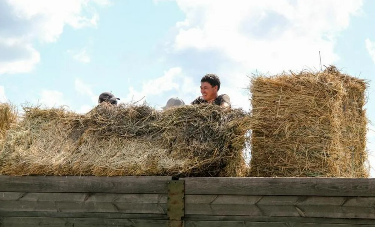 Фото из доступных источников