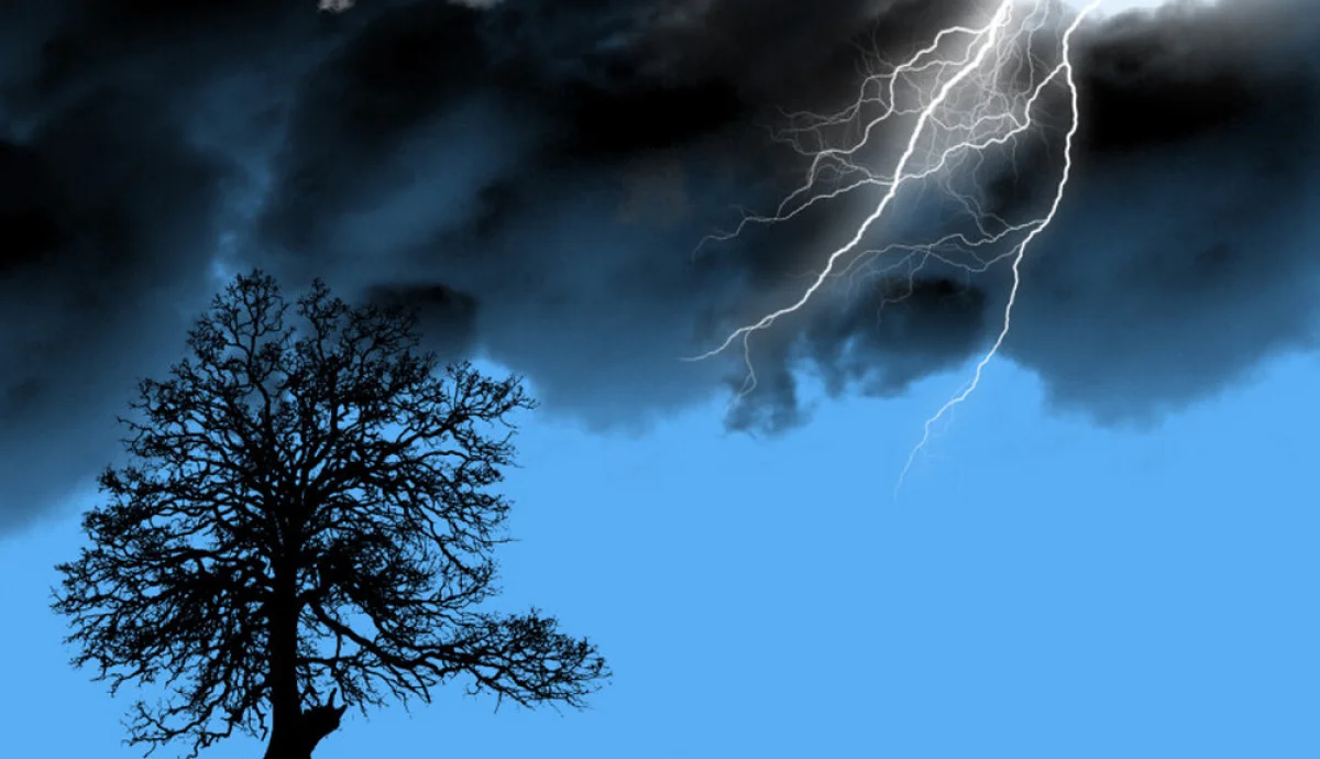 Фото из доступных источников