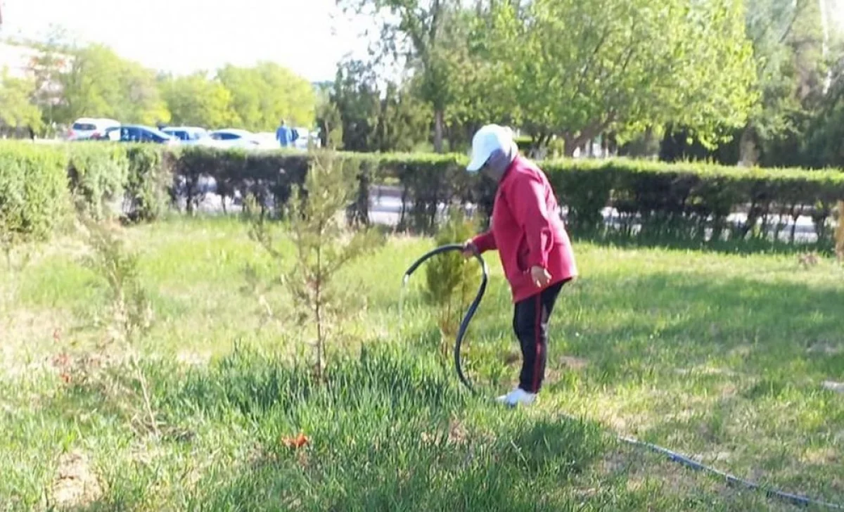 Фото предоставили в городском акимате