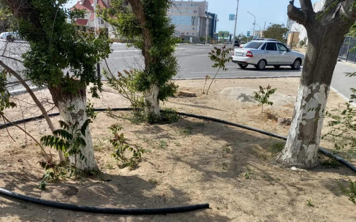 Фото жителей 4 микрорайона