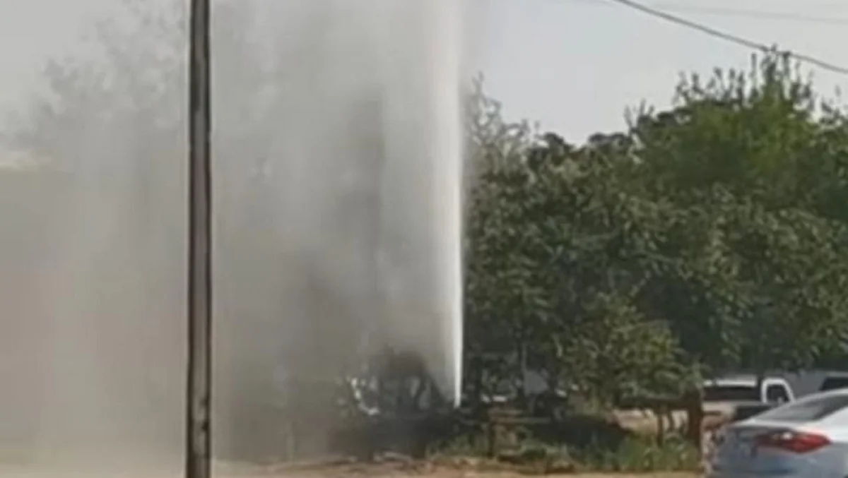 Скрин видео