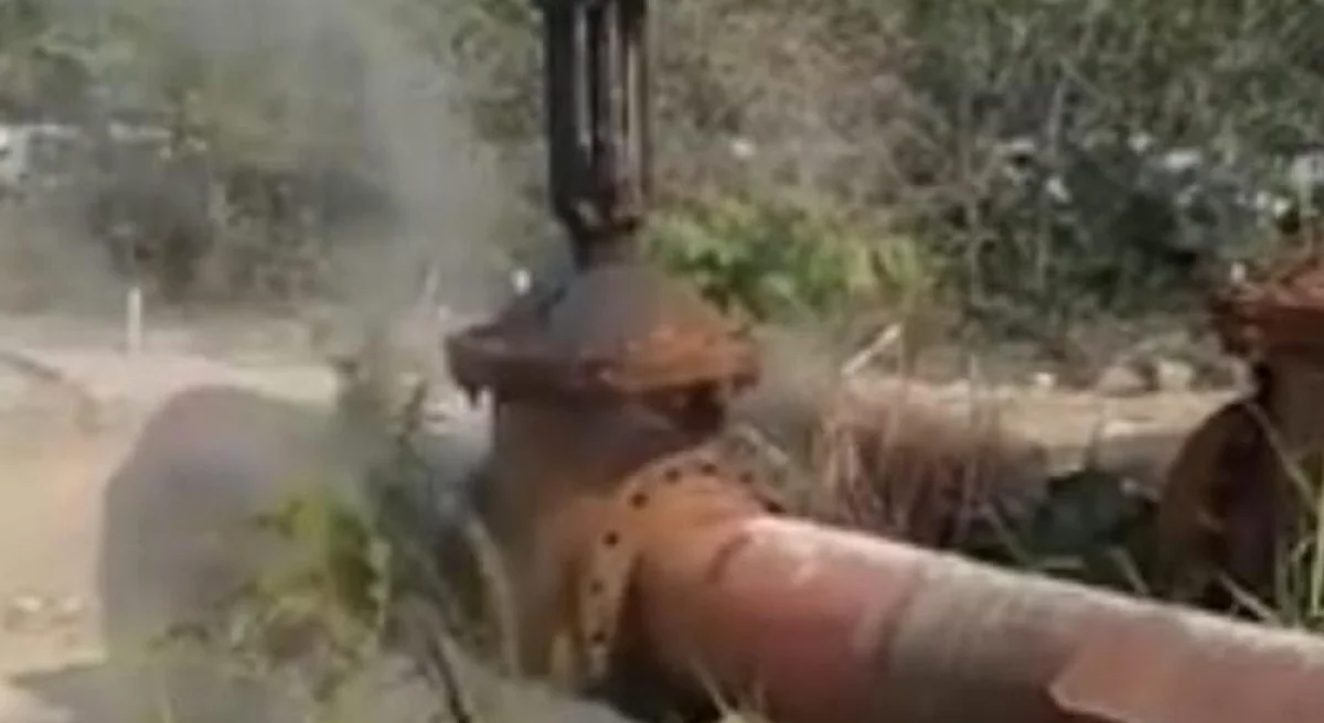 Скрин видео