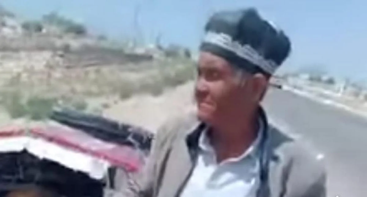 Скрин видео