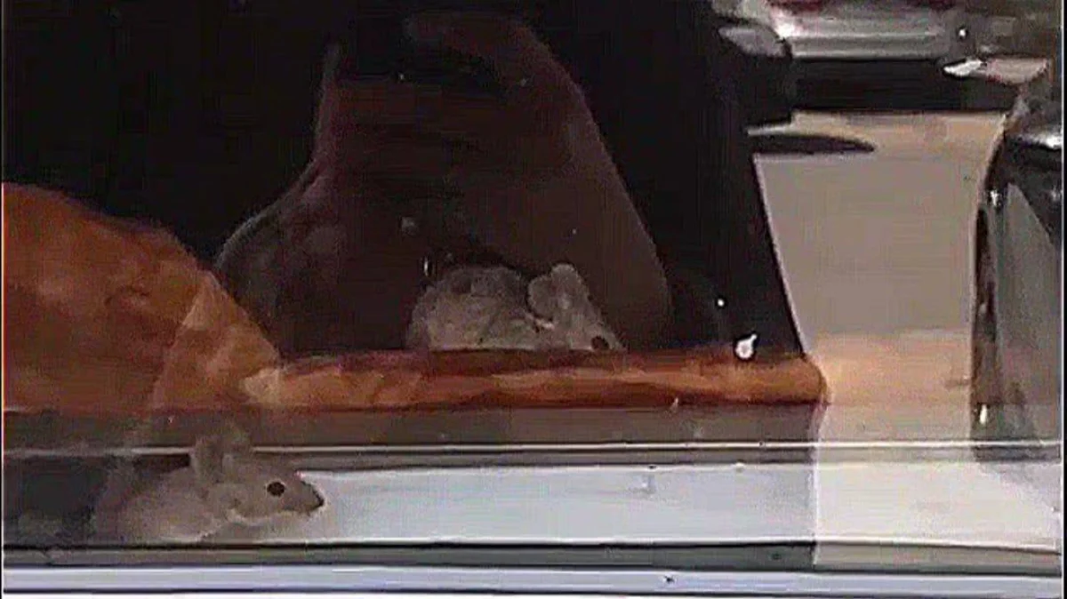 Кадр видеоролика