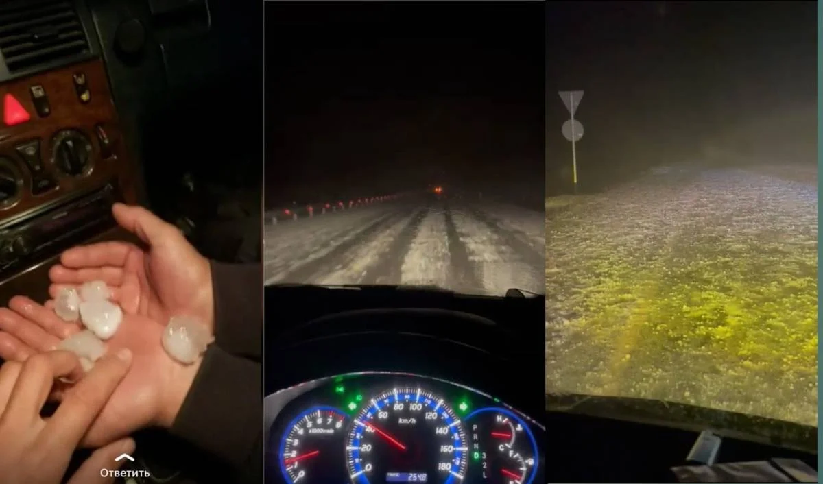 Коллаж из кадров видеоматериала