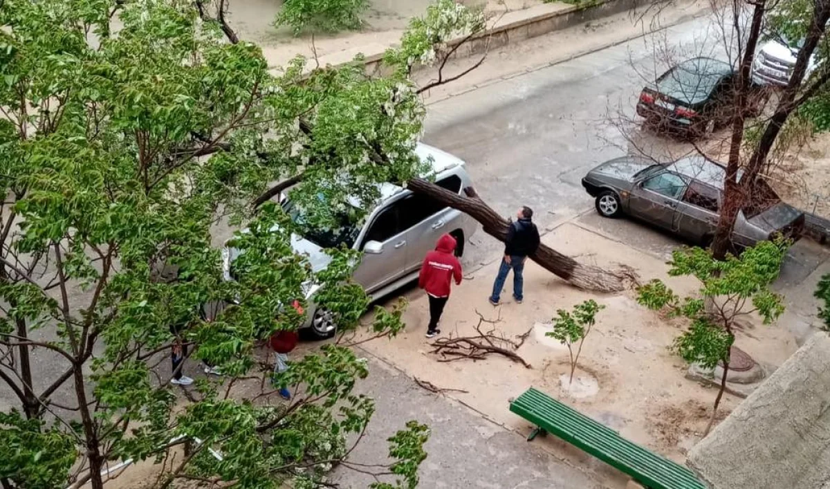 фото жителей дома №37 в 11 микрорайоне