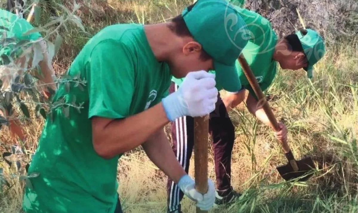Фото предоставили в городском акимате
