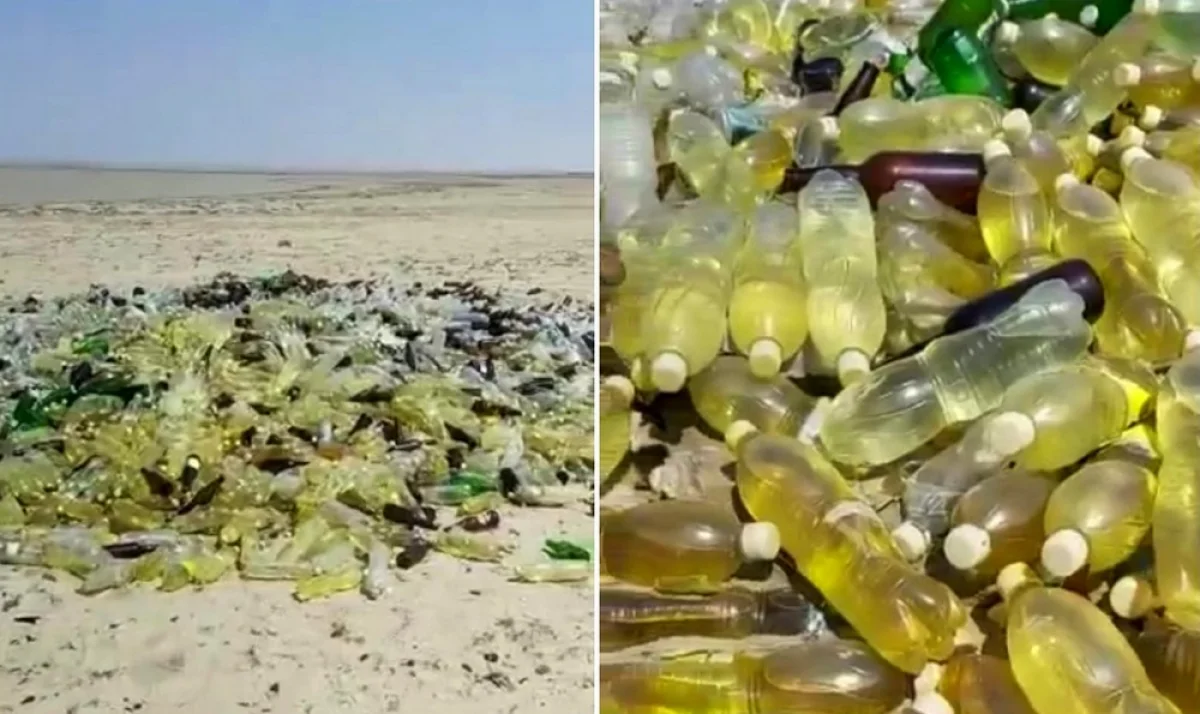 Фото предоставили в департаменте экологии чч