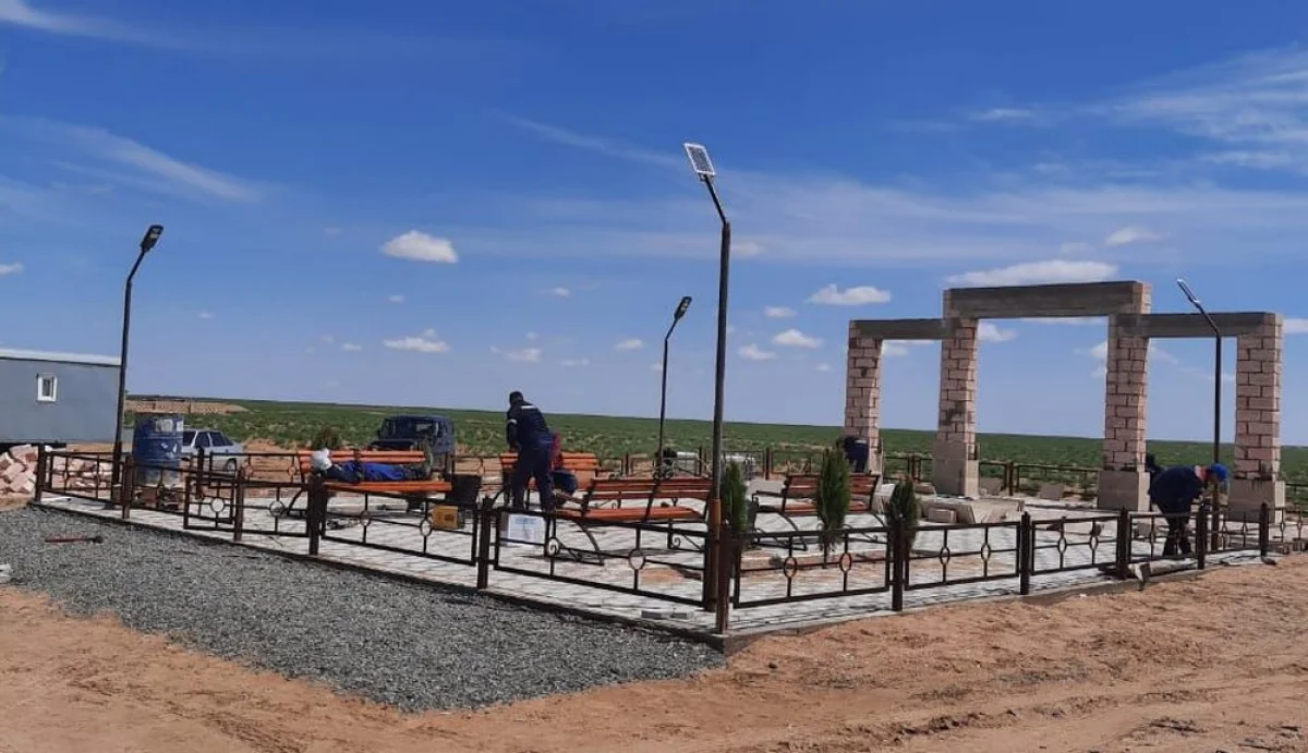 Аллея при въезде в село Шебир