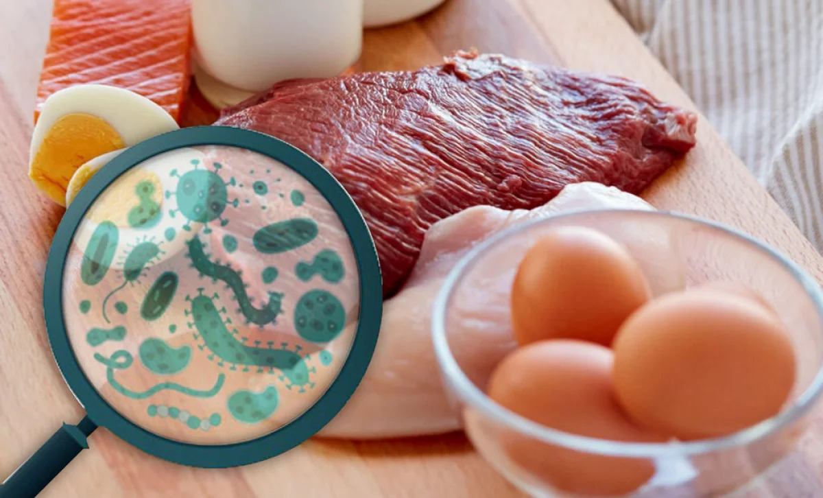 _фото из сети Интернет