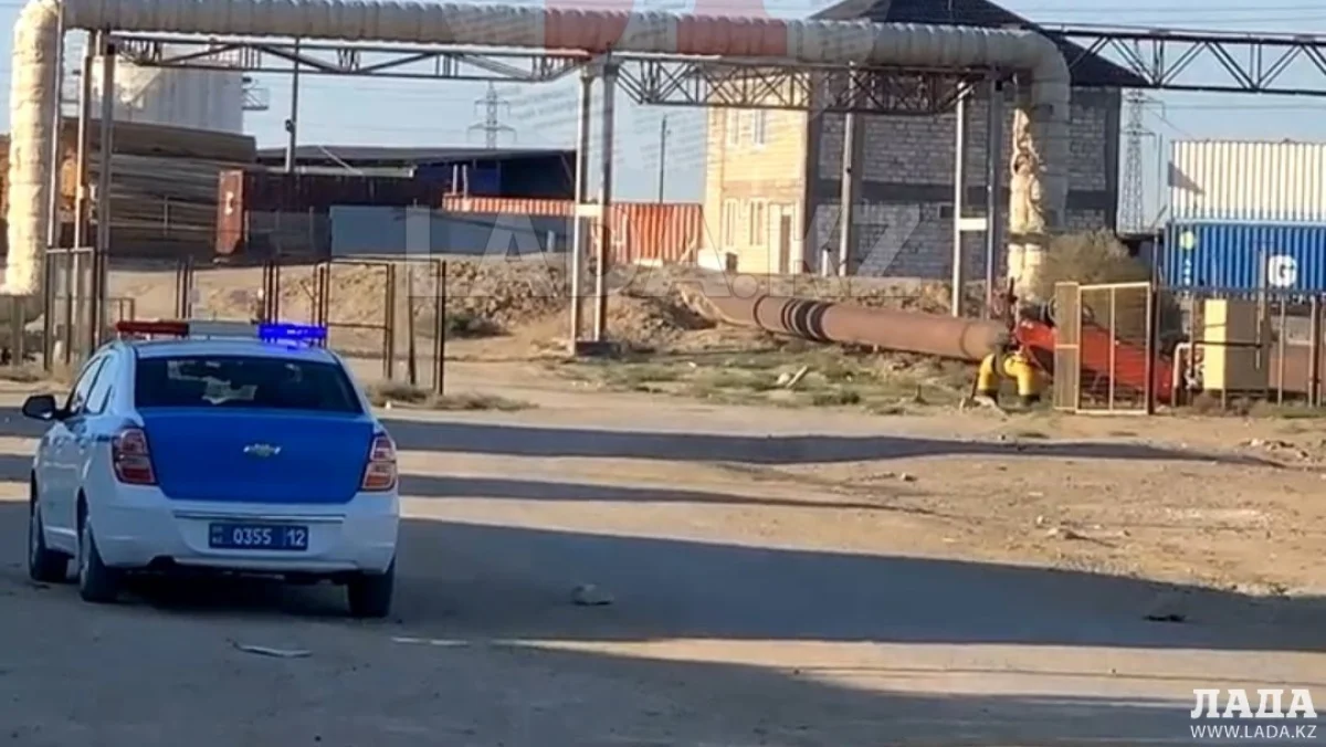 Скрин видео