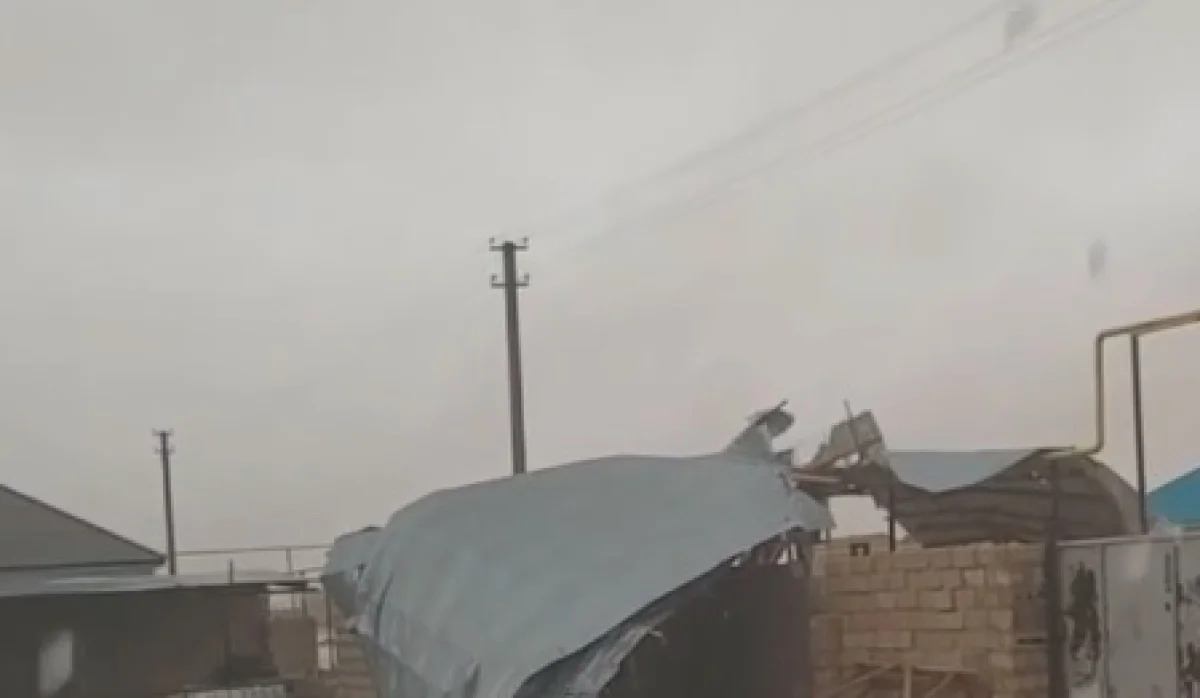 Последствия усиления ветра в Бейнеу