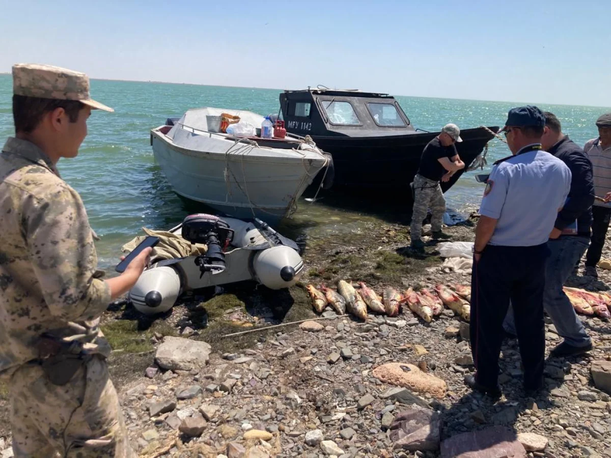 Фото пресс-службы ведомства