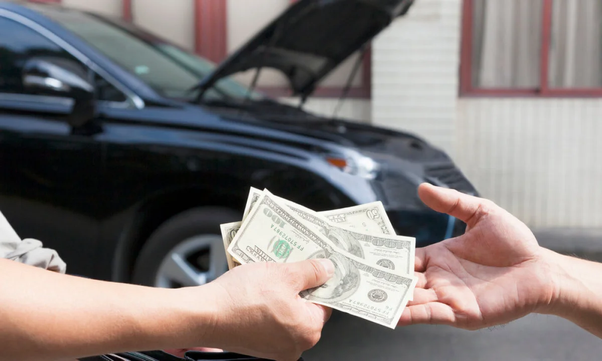 Фото из доступных источников