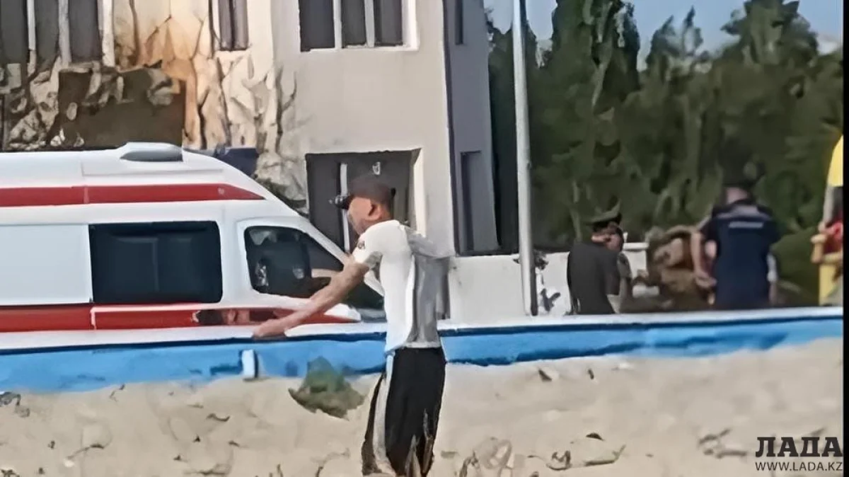 Скрин видео