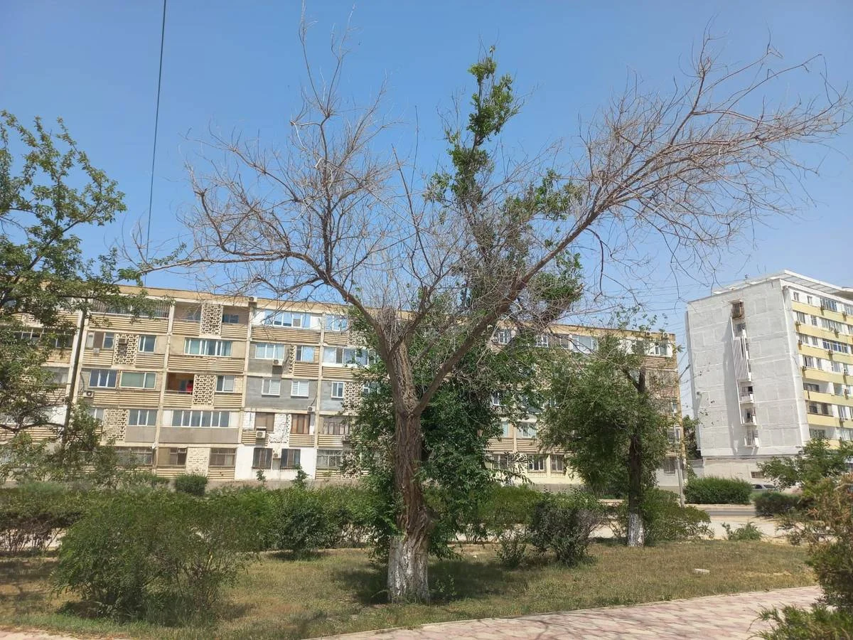 фото Станиславы Хапиной