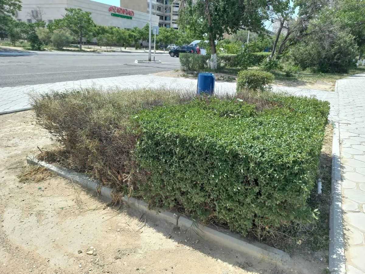 Фото Станиславы Хапиной