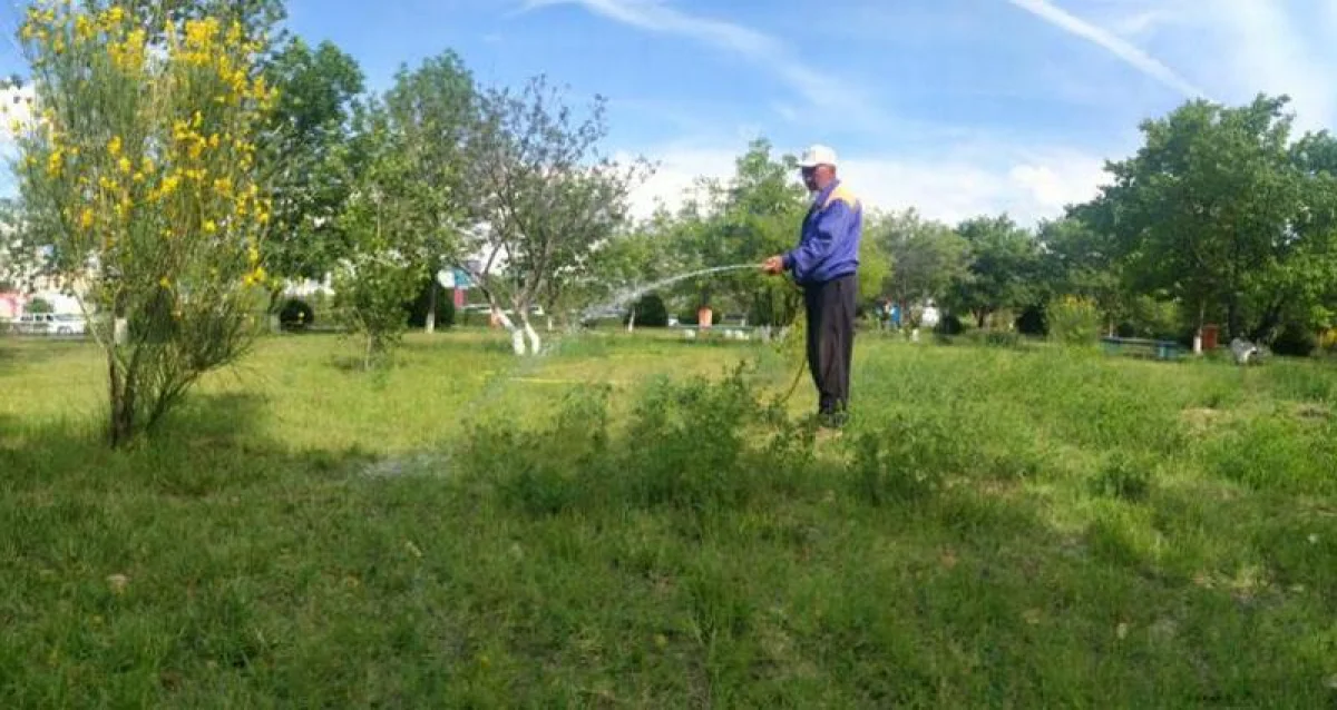 Полив в Актау