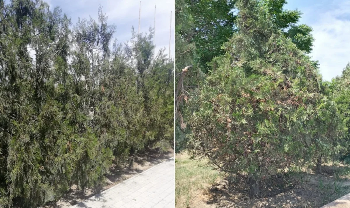 Фото местных жителей