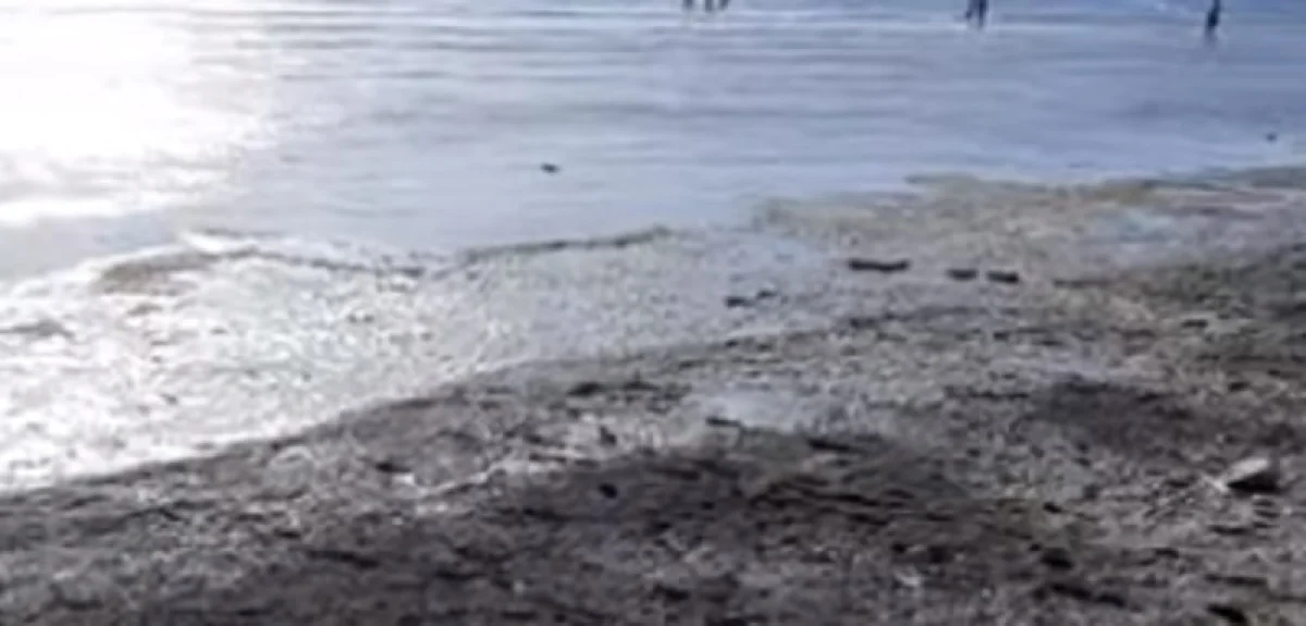 Кадр с видеоролика