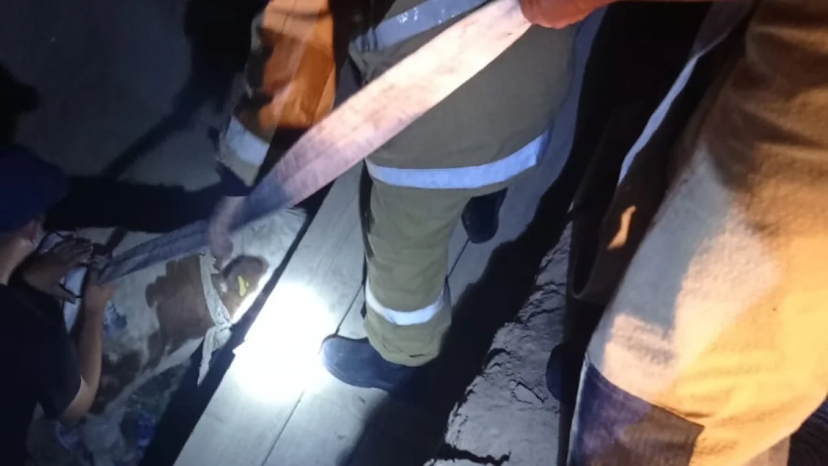 Фото предоставлено ДЧС