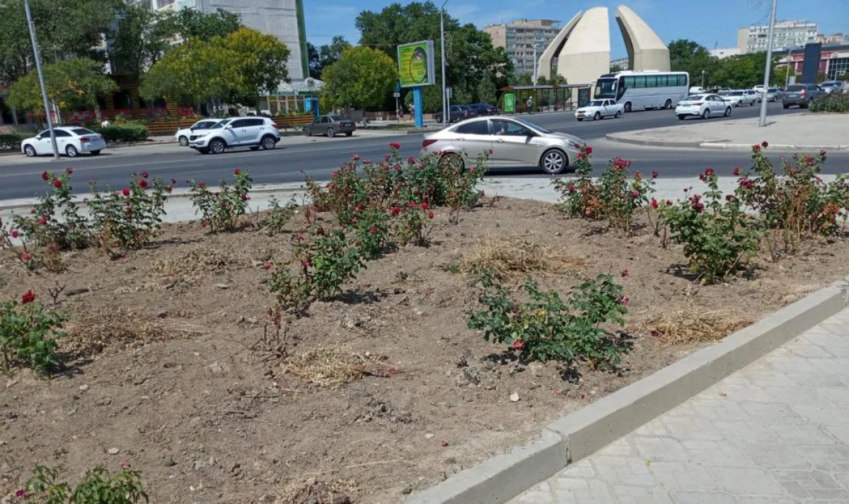 Фото жителей 7 микрорайона