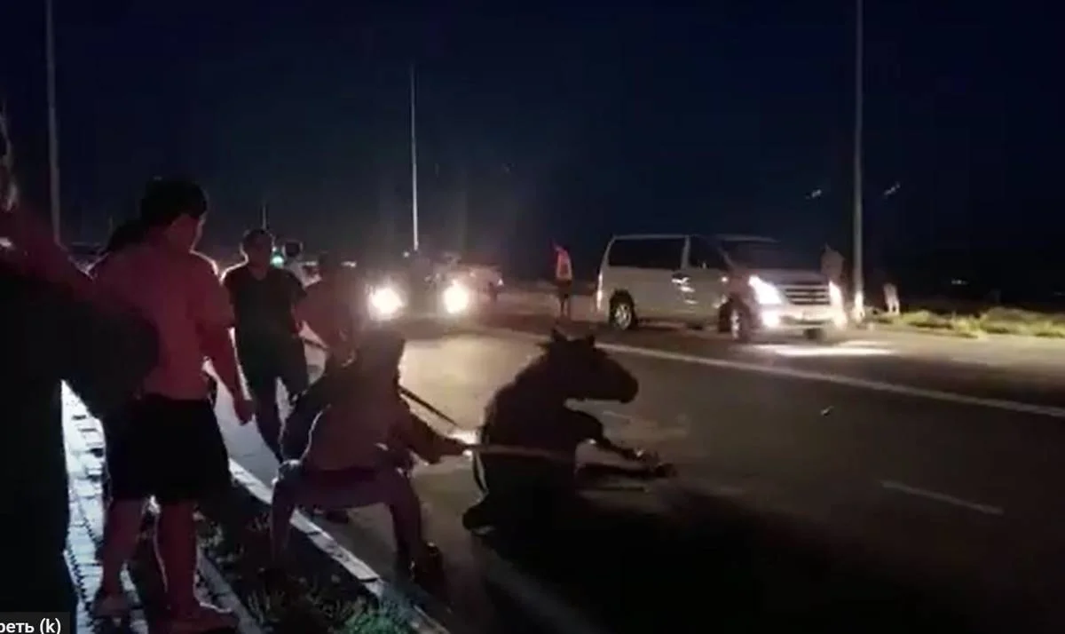 Кадр видео с места происшествия