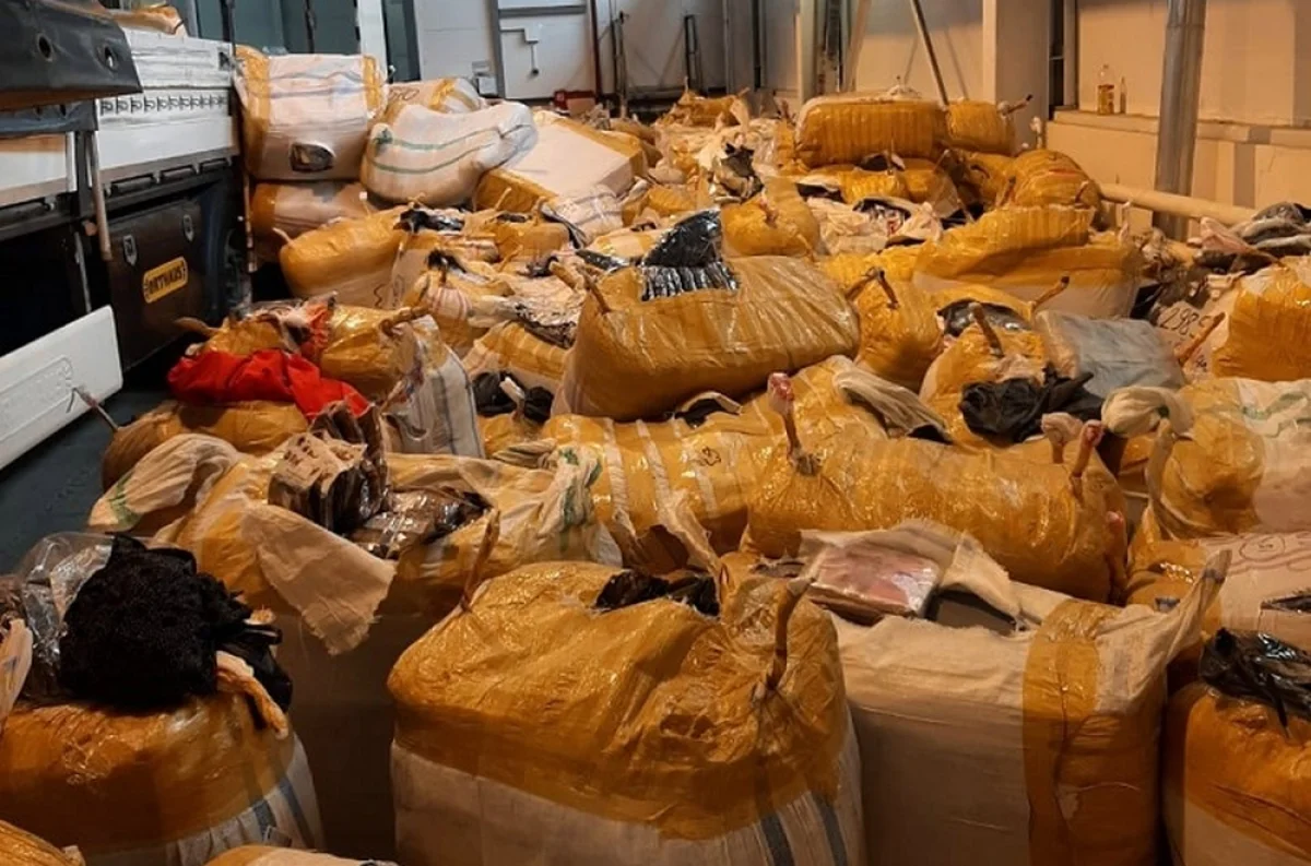 Фото предоставили в департаменте государственных доходов по Мангистауской области