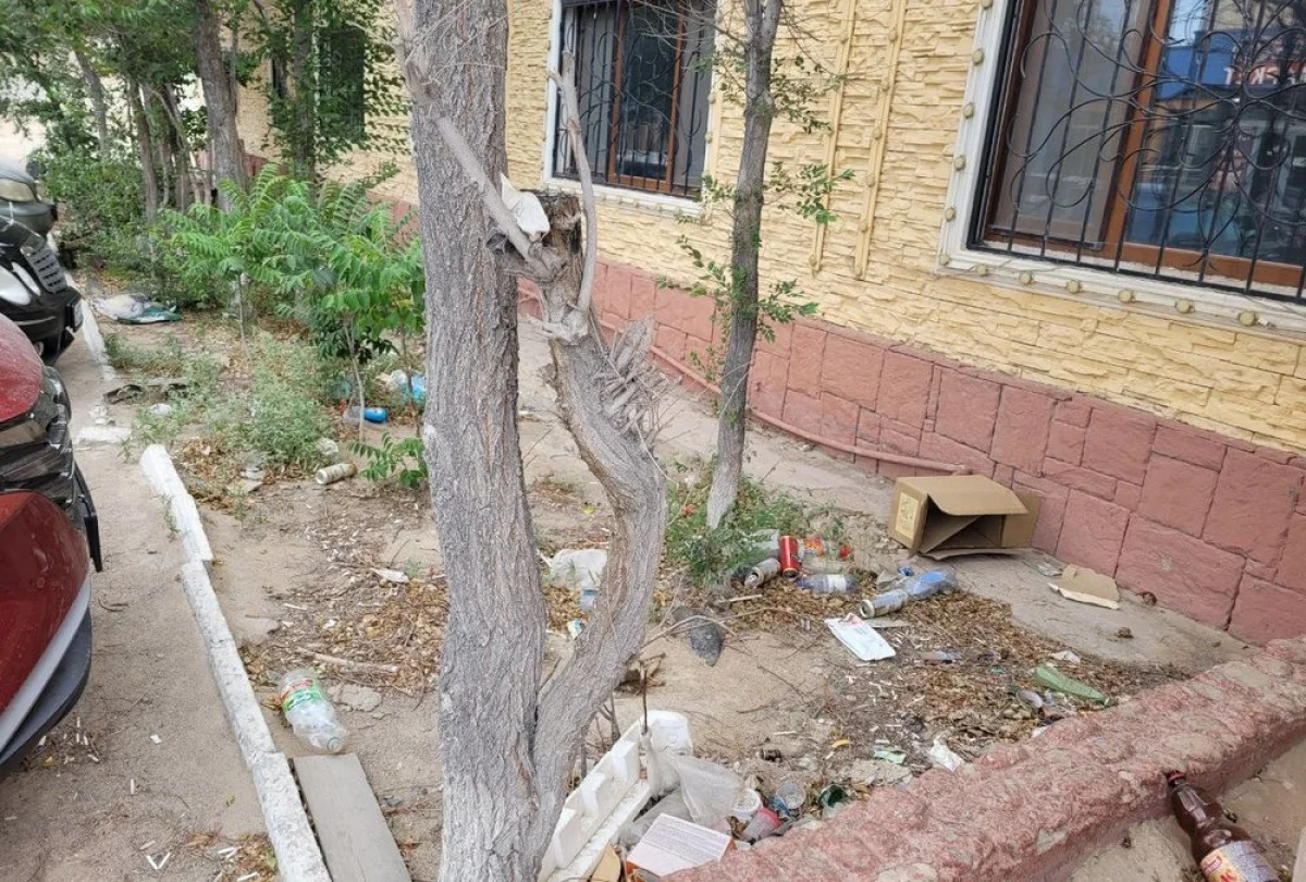 Устроили бардак. Фото жителей дома №7 в 11 микрорайоне