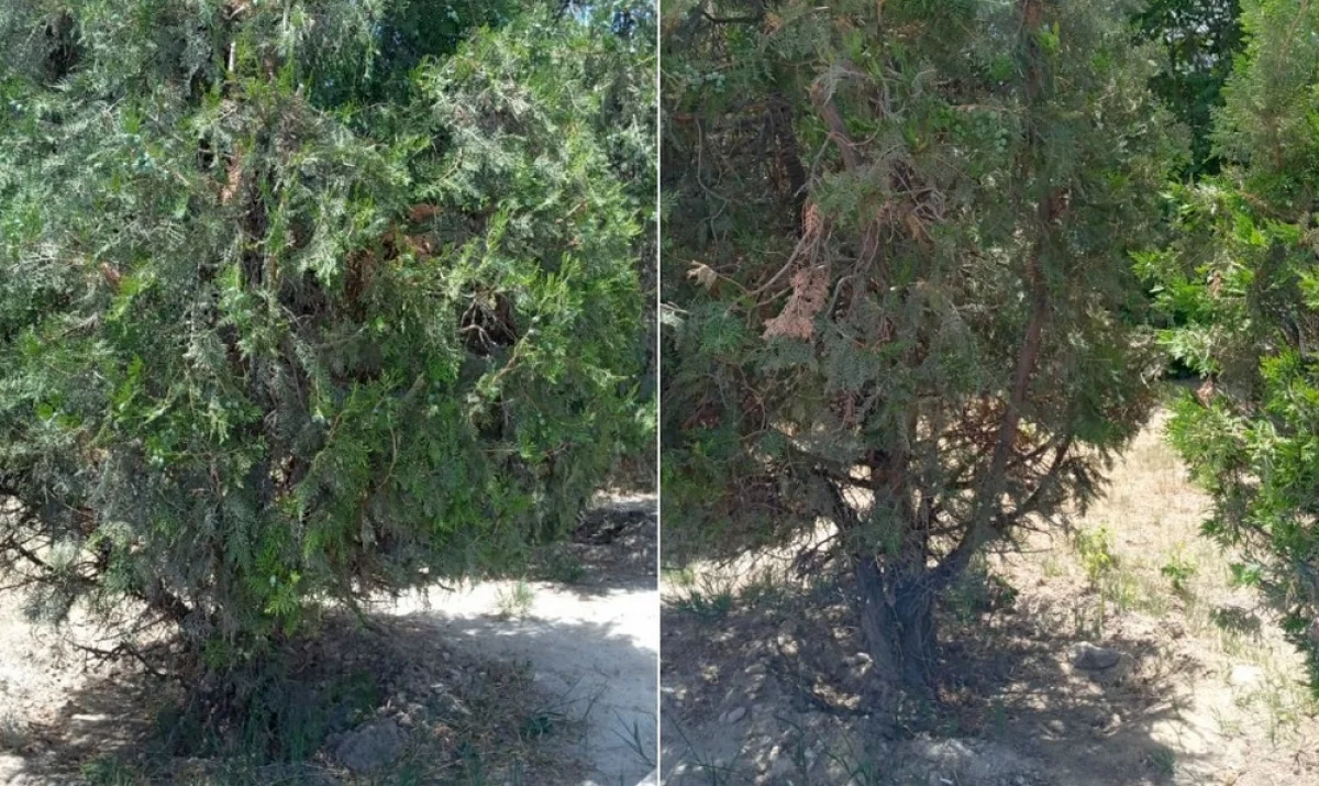 Фото жителей 7 микрорайона