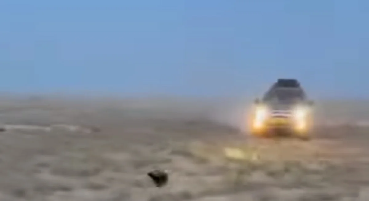 Кадр с видеоролика