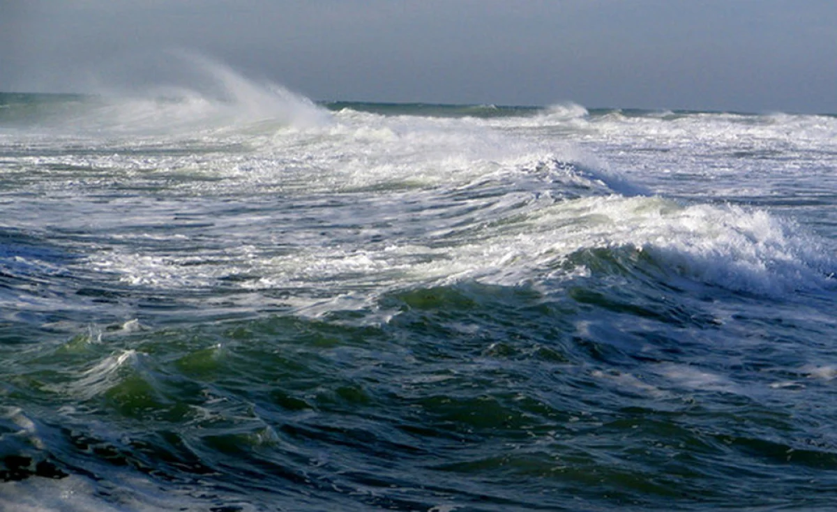 Фото из доступных источников