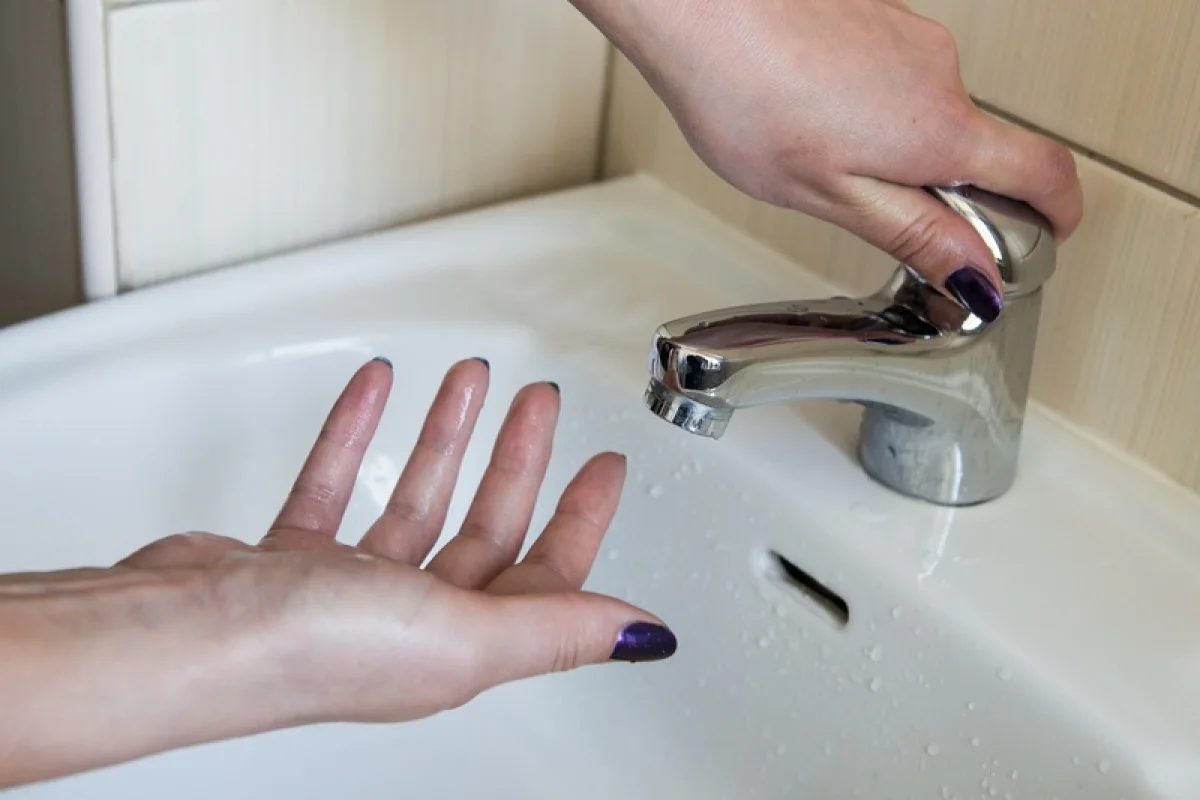 Фото взято из открытого источника