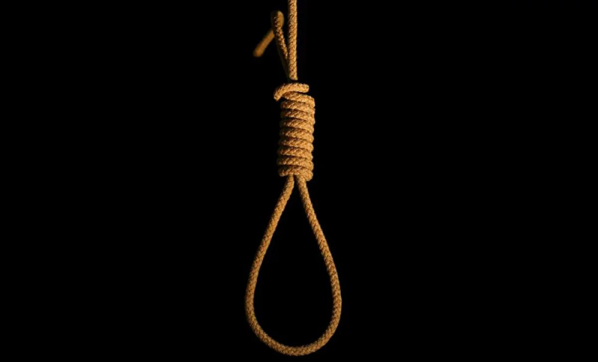 Фото из доступных источников