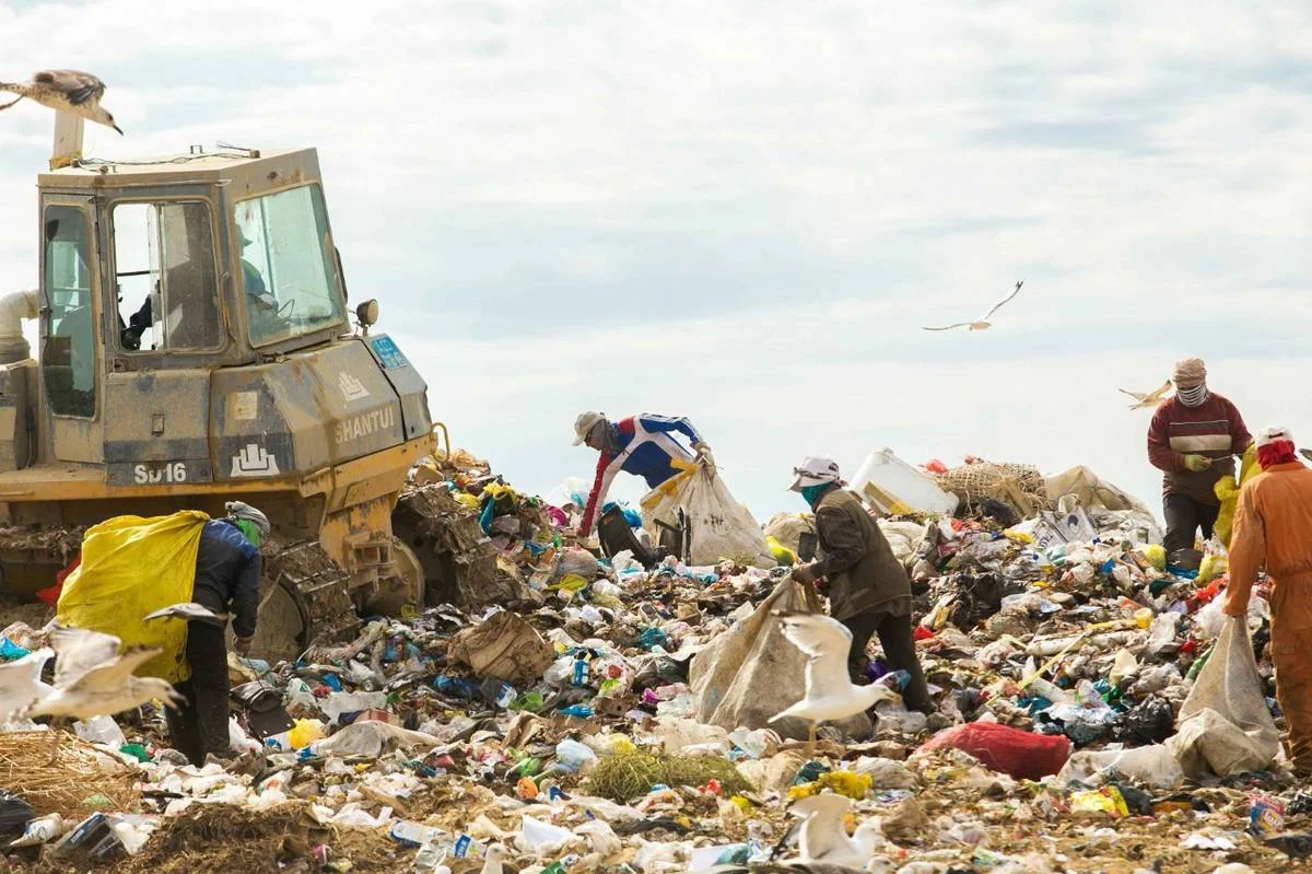 Фото ЦОК МО