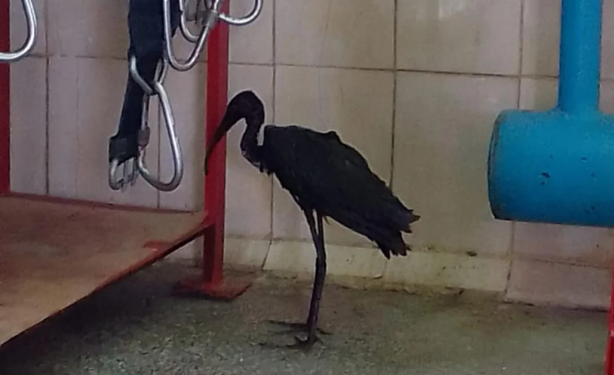 Фото предоставили в ТОО «МАЭК-Казатомпром»