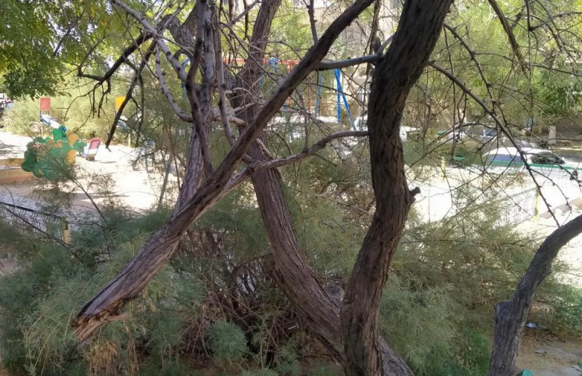 Фото жителей дома №30 в 14 микрорайоне