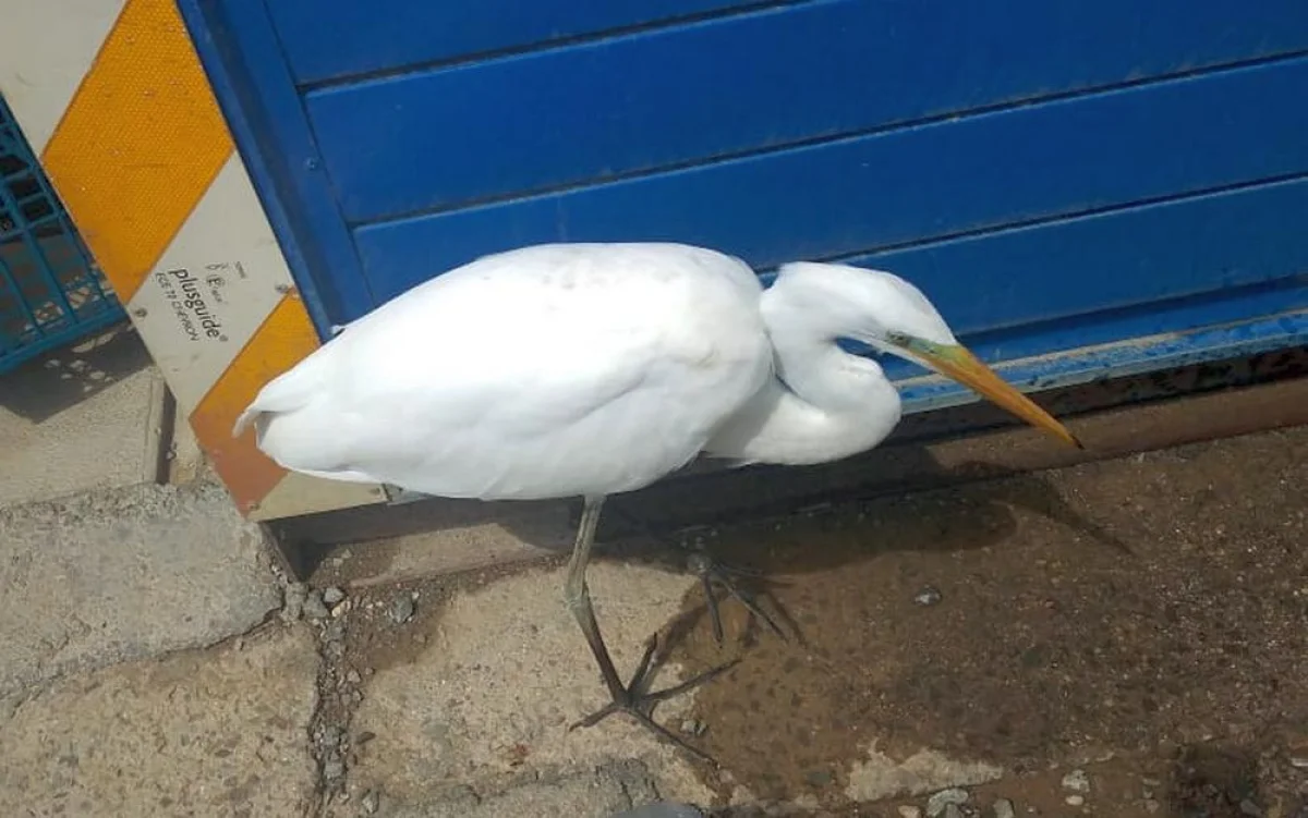 Фото работников на месторождении Дунга