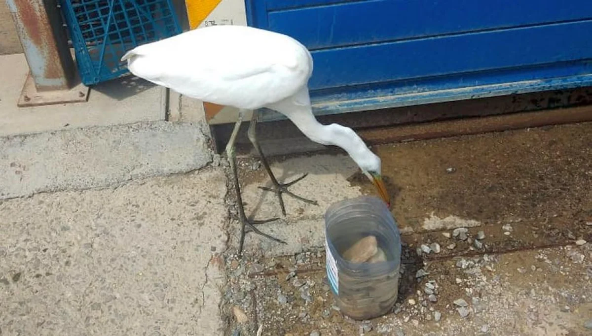 Фото работников с месторождения Дунга