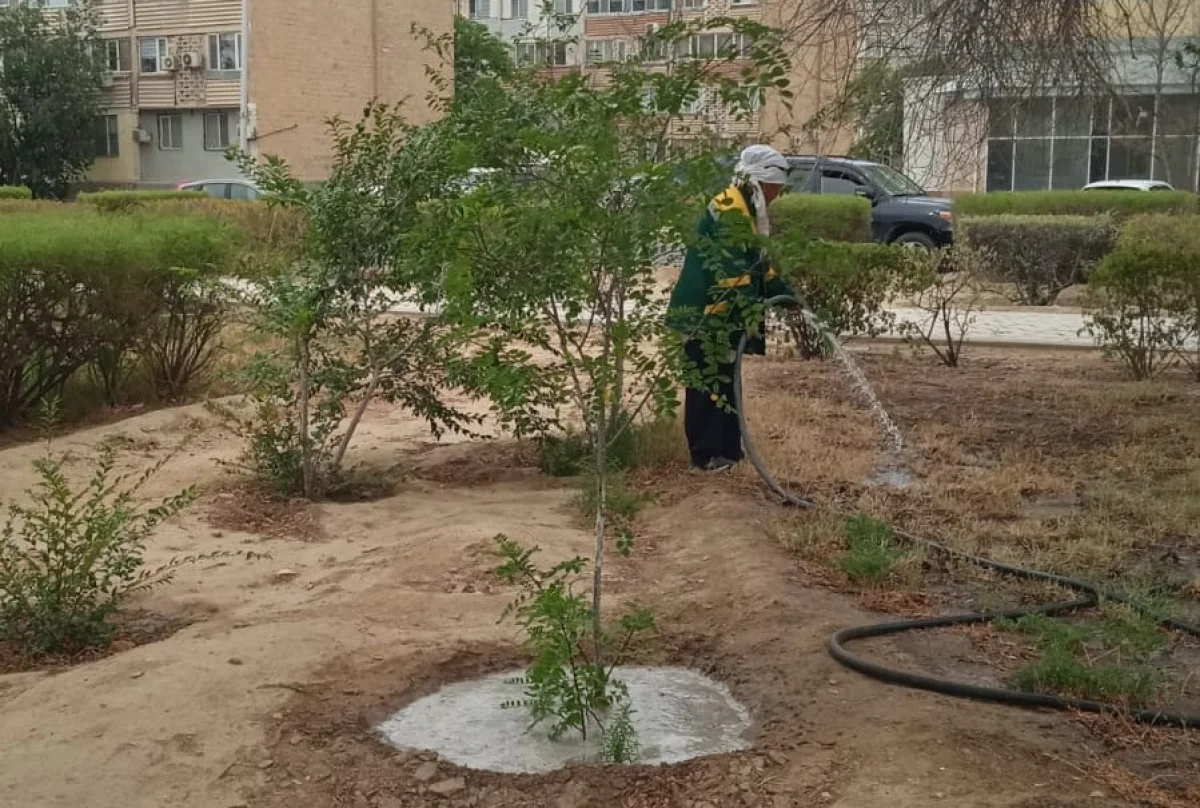 Фото ЦОК Мангистауской области