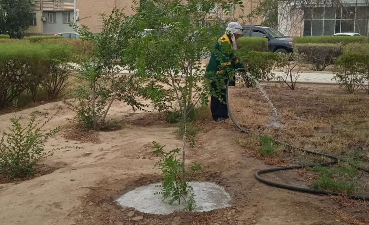 Фото предоставили в Центре общественных коммуникаций региона