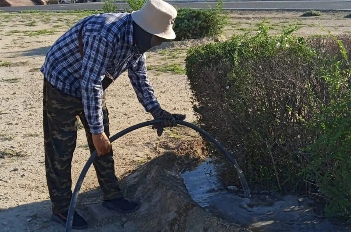 Фото предоставили в городском акимате