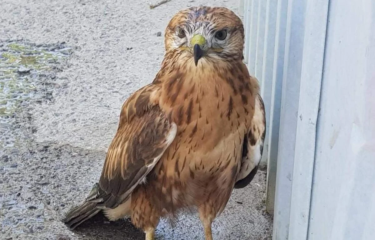 Фото местного фотографа-любителя Андрея Майорова