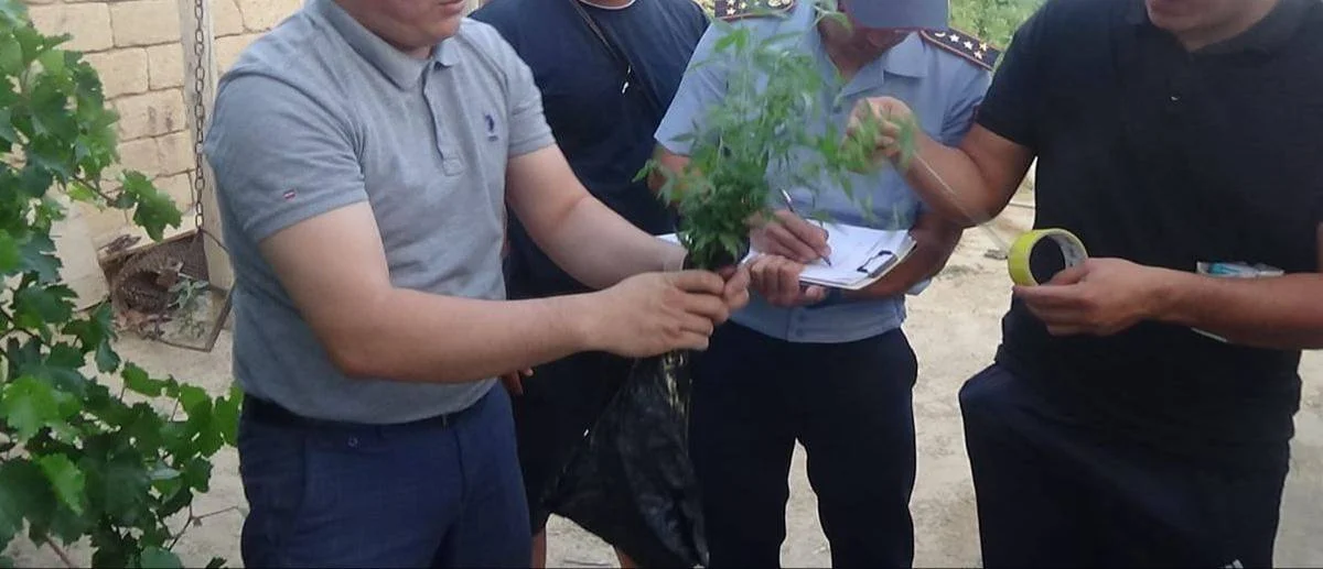 Фото пресс-службы ведомства