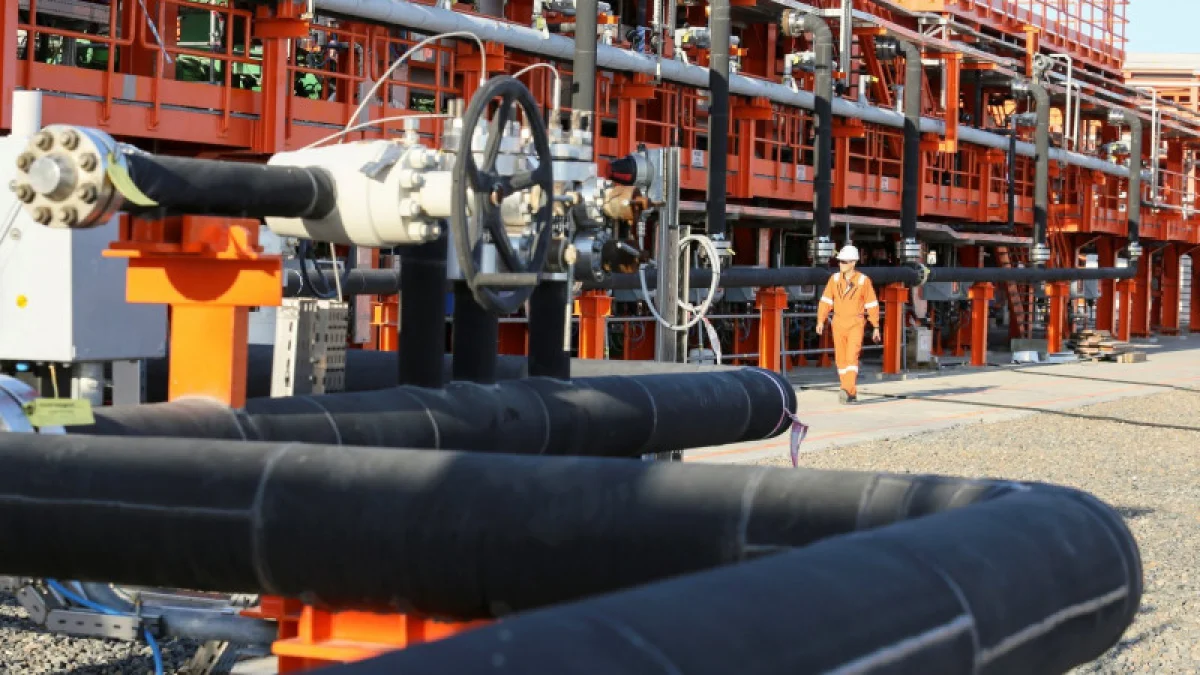 Фото Tengrinews.kz