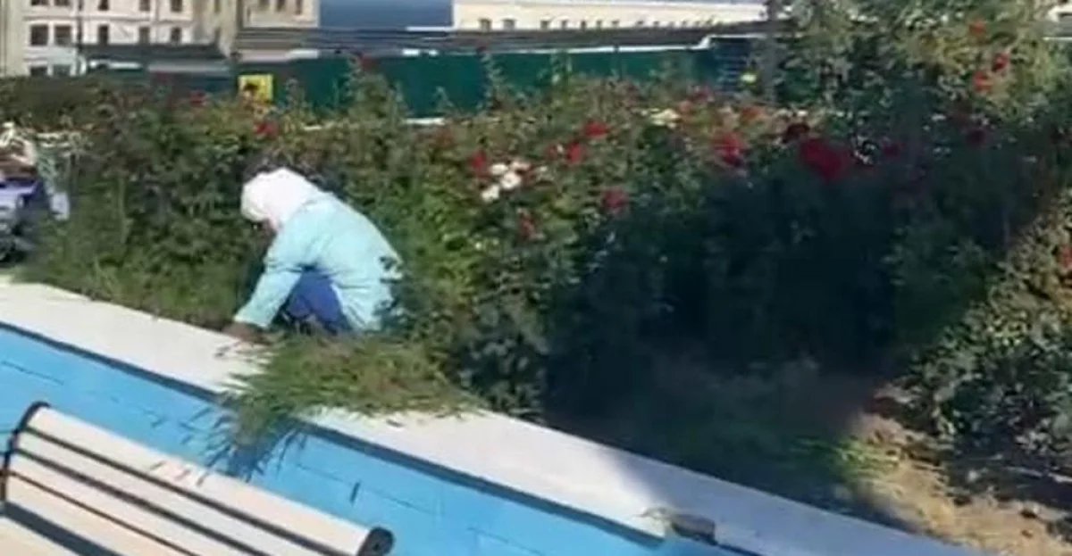 Скрин видео