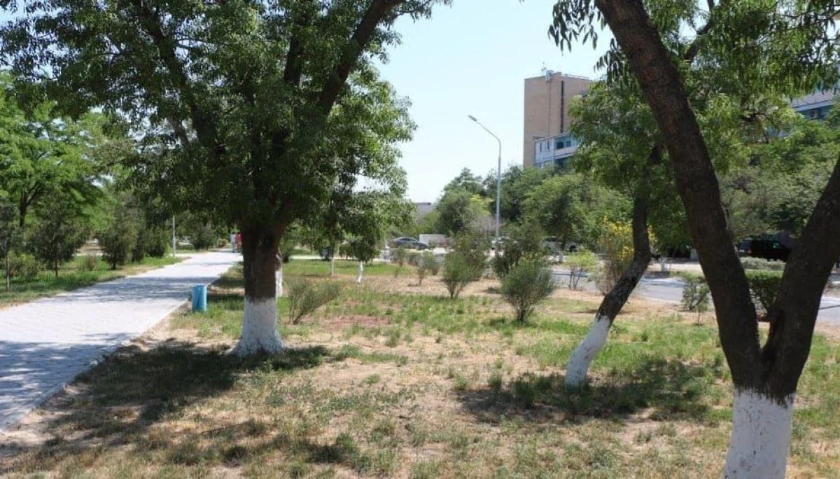 Фото предоставили в Центре общественных коммуникаций Мангистауской области