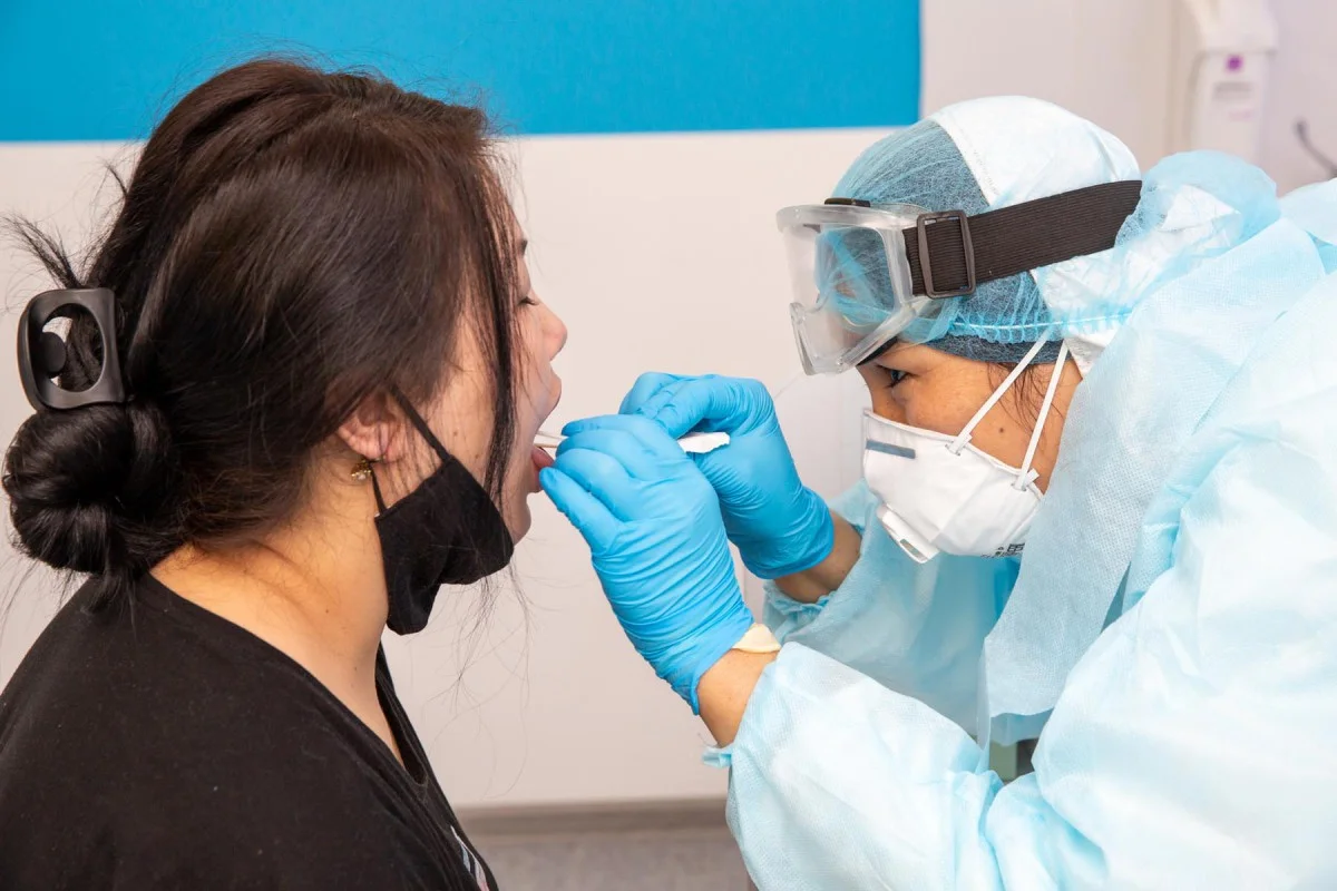 Фото взято из открытого источника