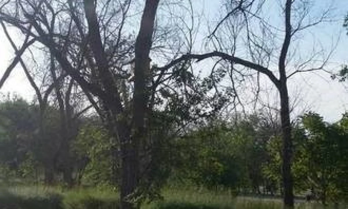 Фото из архива «Лады»